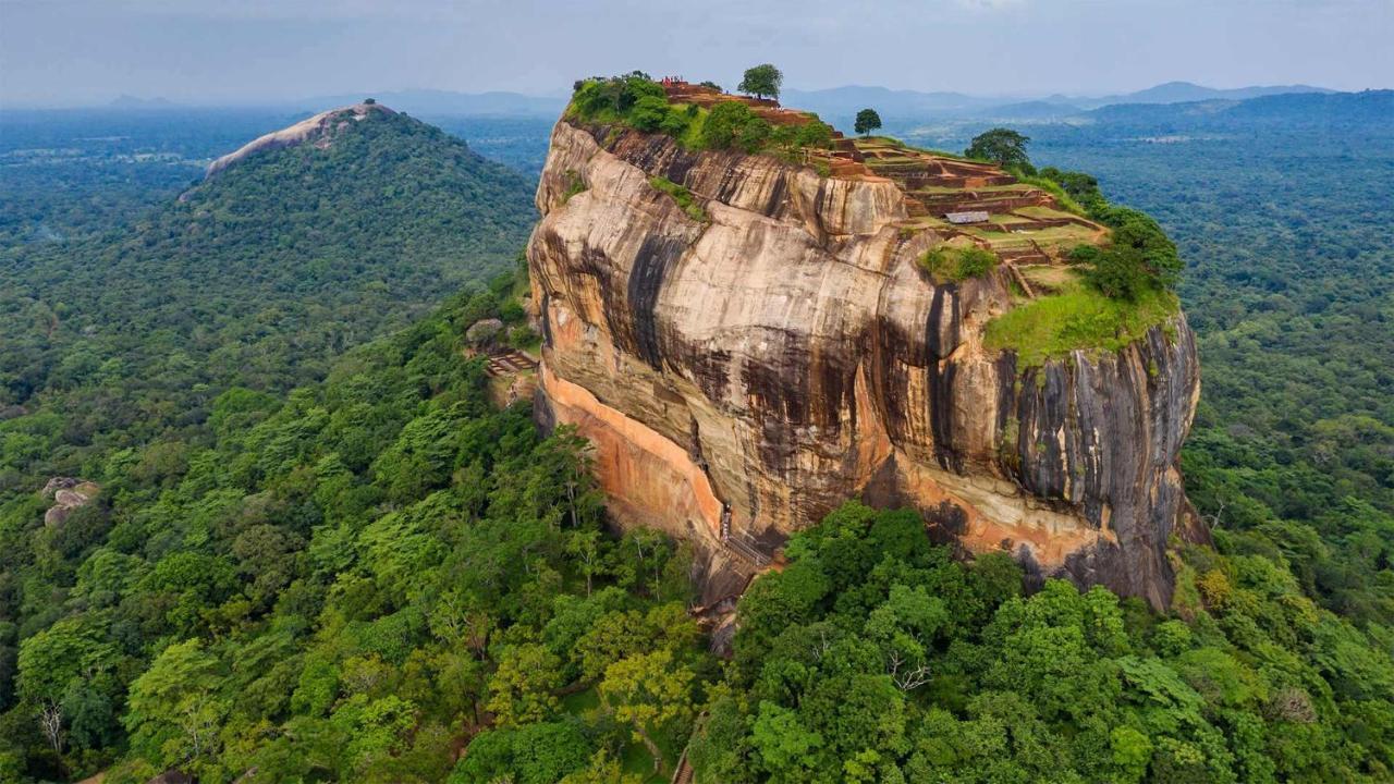 Sun Flower Homestay Sigiriya Dış mekan fotoğraf