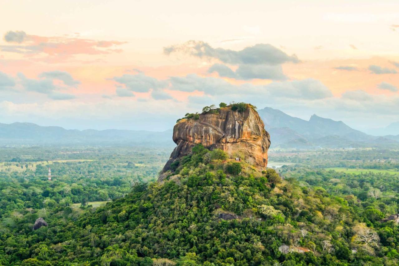 Sun Flower Homestay Sigiriya Dış mekan fotoğraf