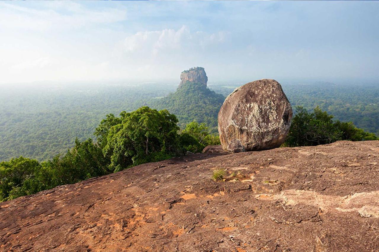 Sun Flower Homestay Sigiriya Dış mekan fotoğraf