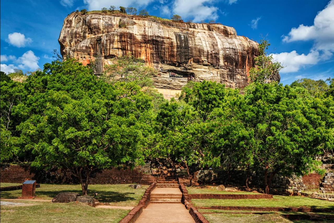 Sun Flower Homestay Sigiriya Dış mekan fotoğraf