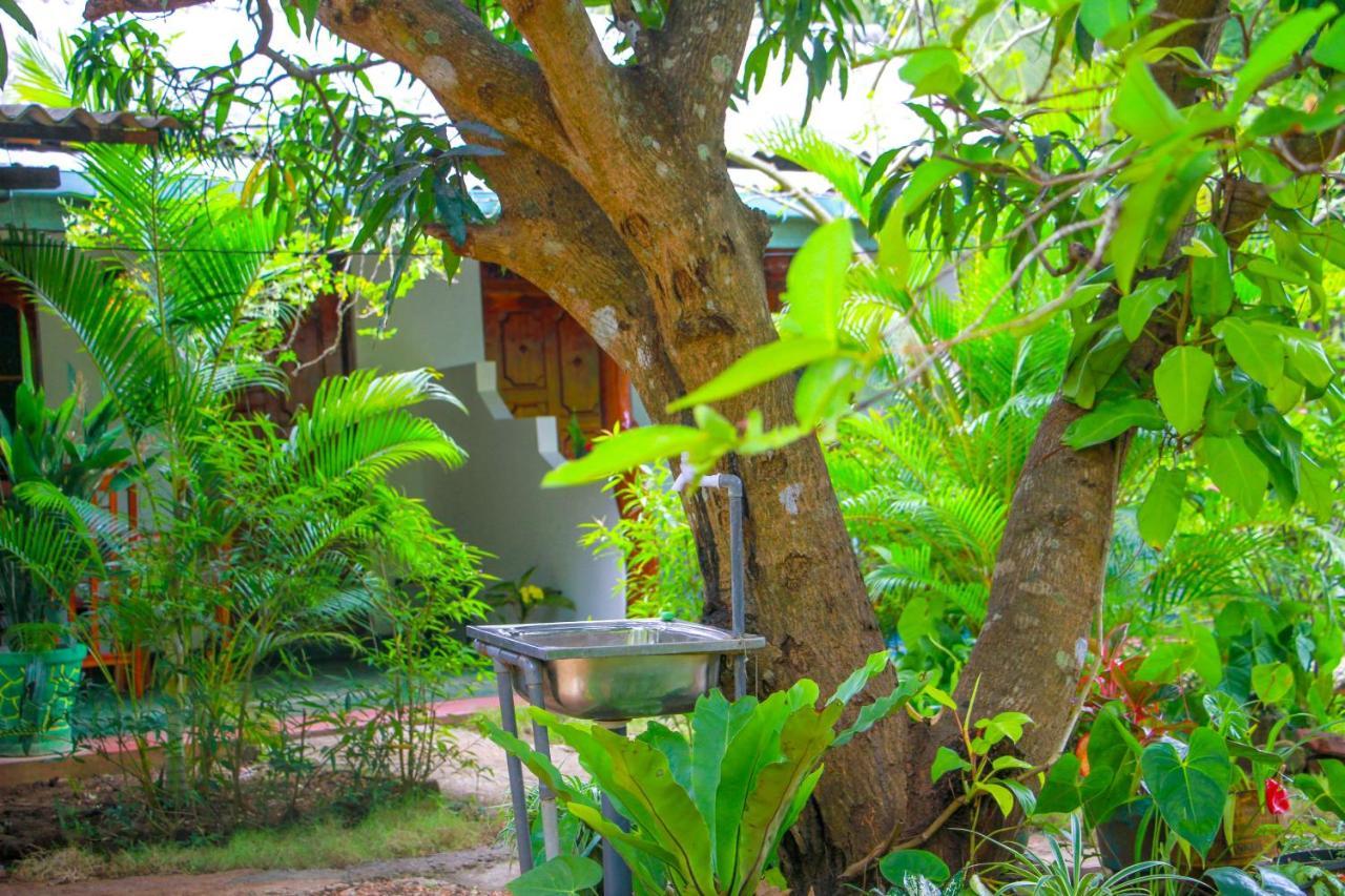 Sun Flower Homestay Sigiriya Dış mekan fotoğraf