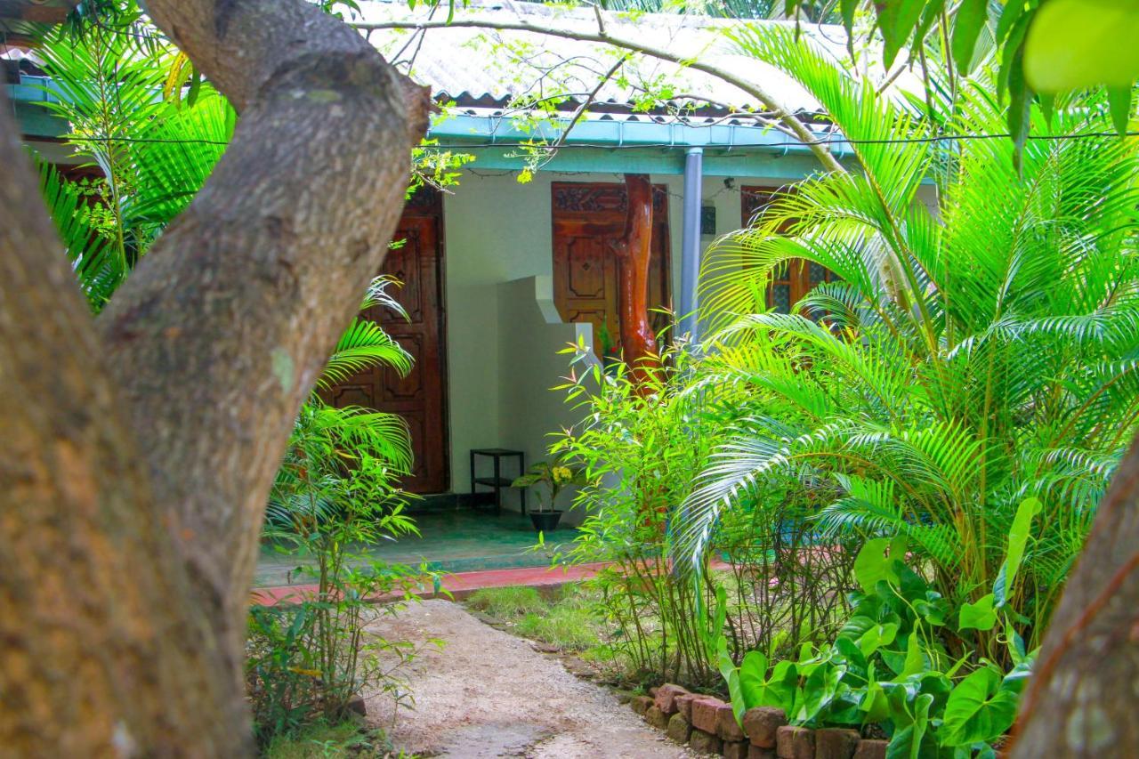 Sun Flower Homestay Sigiriya Dış mekan fotoğraf