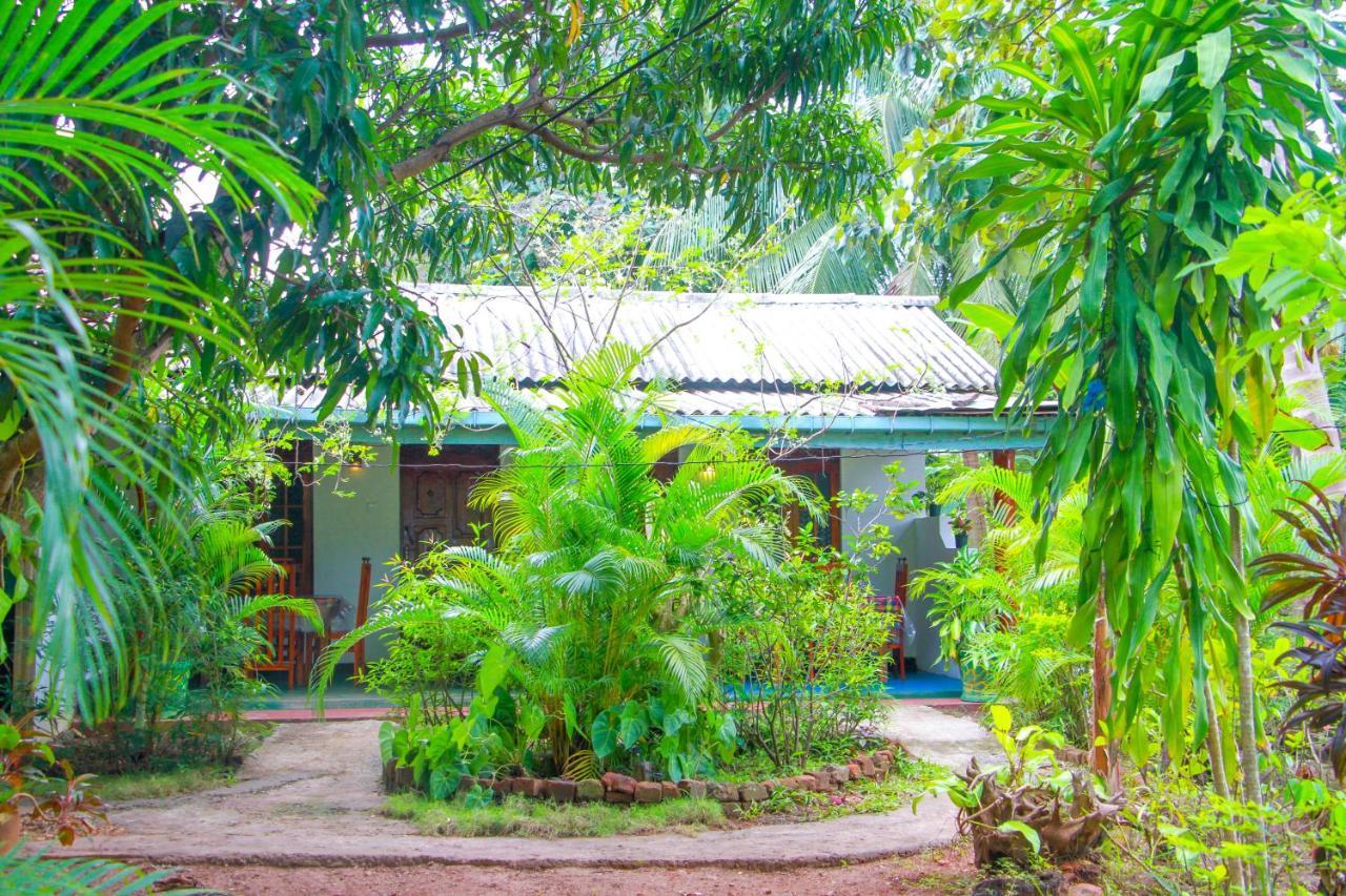 Sun Flower Homestay Sigiriya Dış mekan fotoğraf