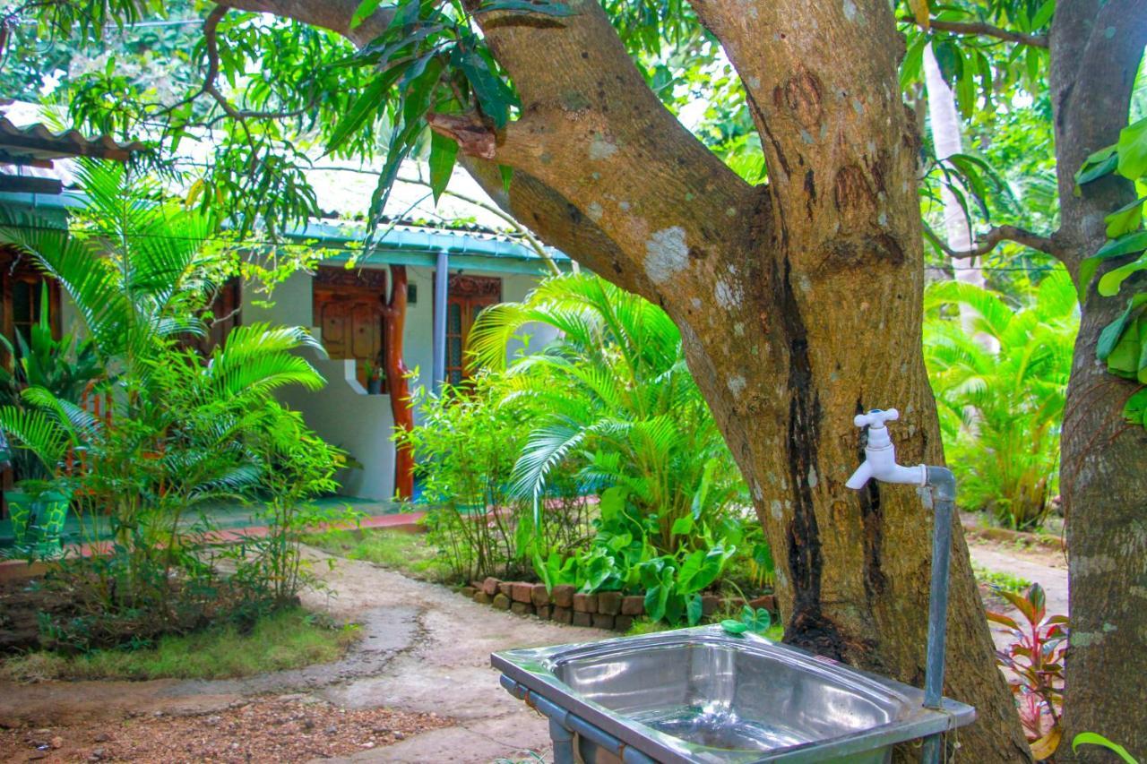 Sun Flower Homestay Sigiriya Dış mekan fotoğraf