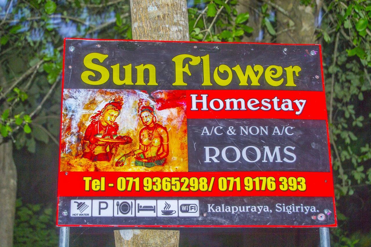 Sun Flower Homestay Sigiriya Dış mekan fotoğraf