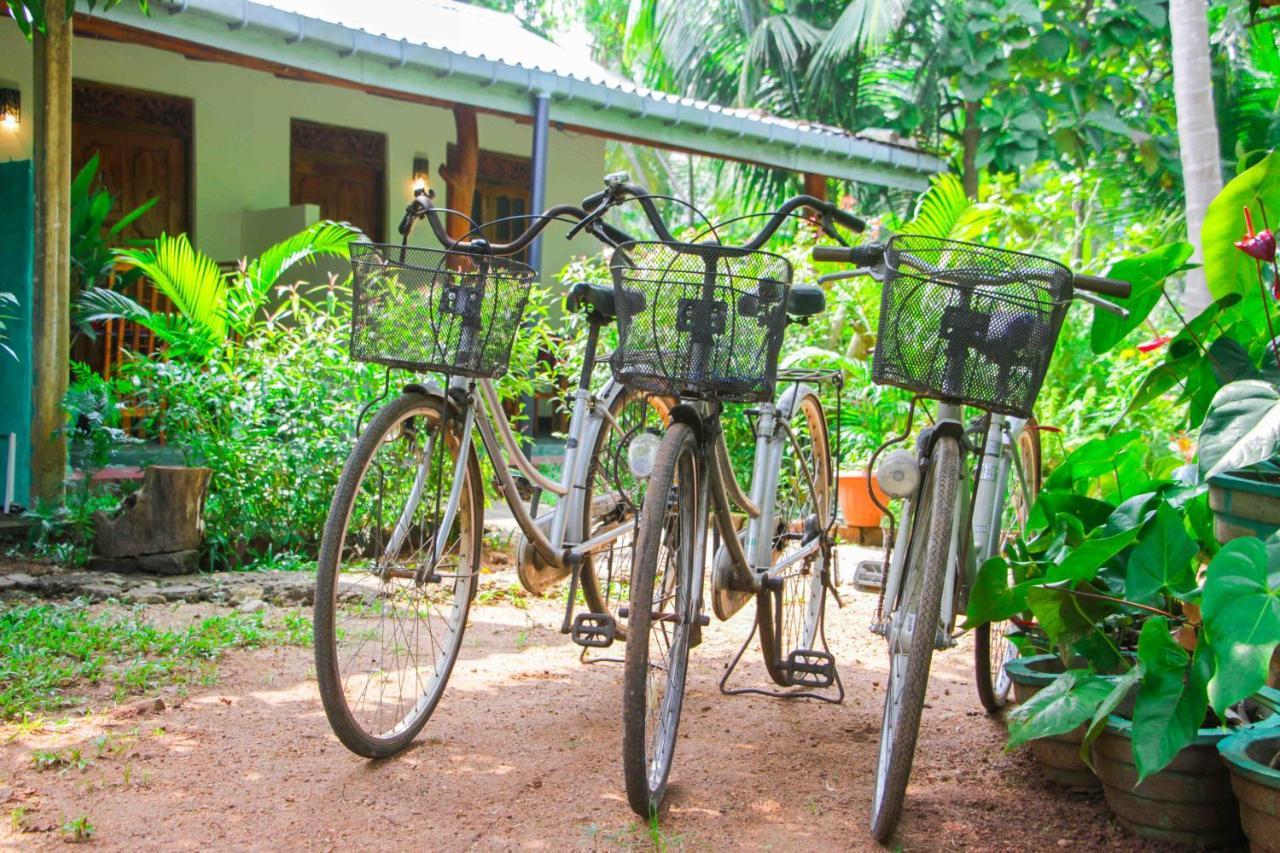 Sun Flower Homestay Sigiriya Dış mekan fotoğraf